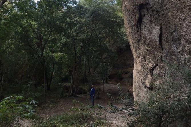 1 day hiking in Birtvisi Canyon from Tbilisi - Key highlights from the Birtvisi Canyon day trip