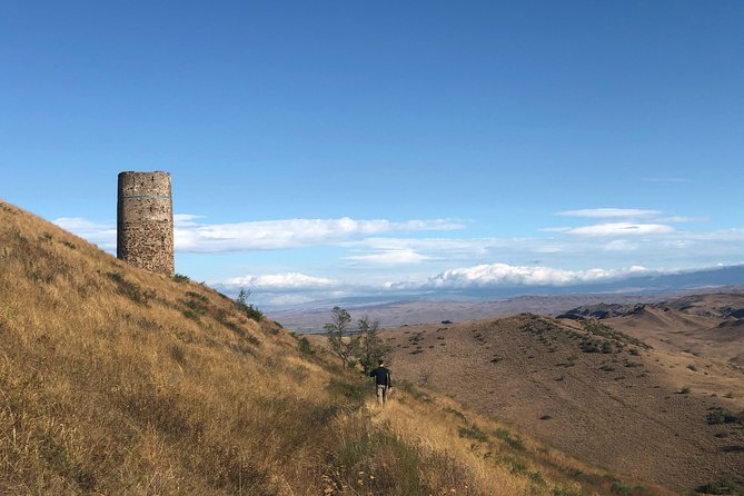 1-Day Trip to David Gareja Monastery with Rainbow Hills & Sighnaghi from Tbilisi - Chichkhituri Tower View: A Quick Stop With Big Context