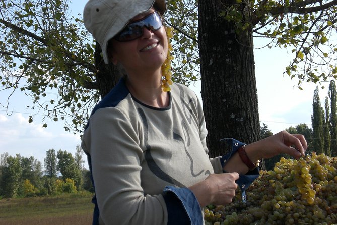 2-Day Private Wine Tour to Kakheti from Tbilisi - Price and What You Get for 2 Days From Tbilisi