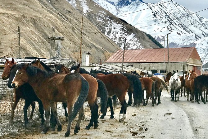2 Days Private Tour to Kazbegi and Juta Village with Trekking - Why Kazbegi And Juta Makes A Great 2-Day Trip