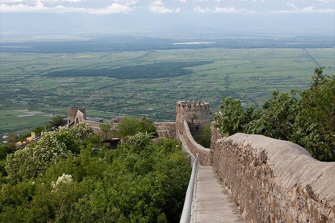 2 Full Day Private Tours from Tbilisi - Day 2: Kakheti Wine Culture Starts in Patardzeuli