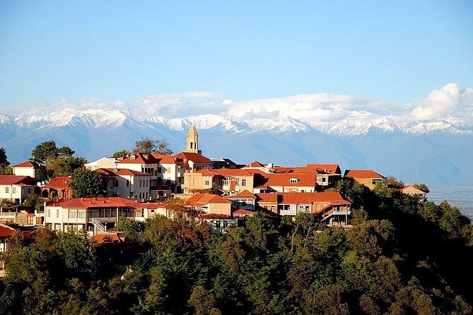 2 Full Day Private Tours from Tbilisi - Bodbe Monastery of St. Nino: Quiet Views Above the Alazani Valley