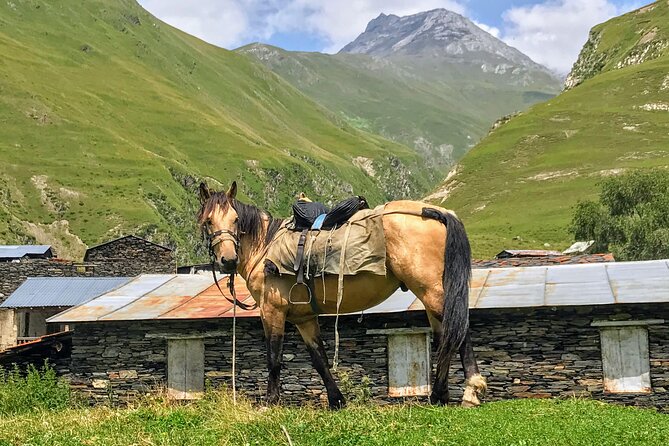 3 Day Tusheti Tour Explore Unspoiled Wilderness - Day 3: Omalo’s Keselo Fortress and a return toward Tbilisi