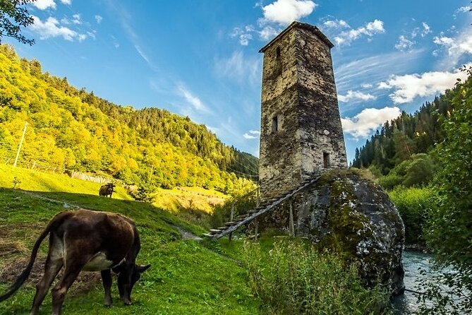 4-Day Tour in Svaneti - Mestia/Ushguli - Should you book? My honest take