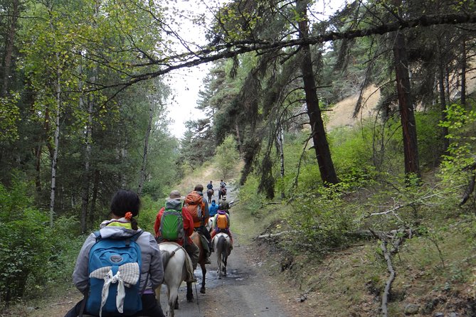 7-day hiking expedition to Tusheti through the Atsunta pass - Down along Pirikiti Alazani to Girevi: long miles, river rhythm, and stone ghosts
