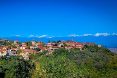 A day tour to Kakheti region/wine/culture/history and gastro tour