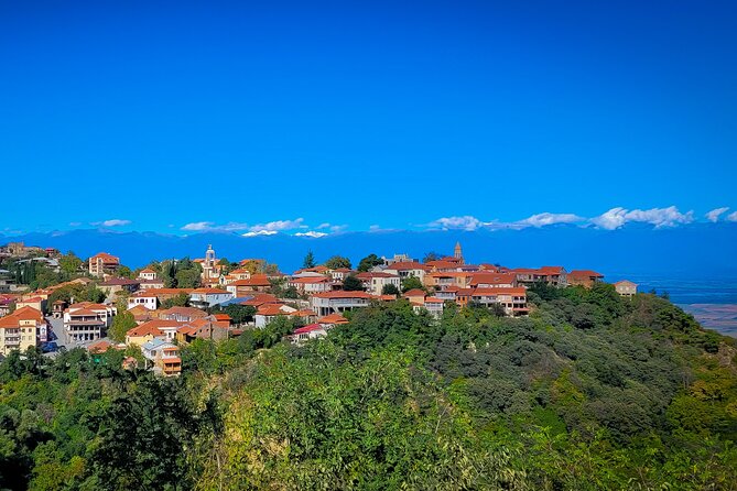 A day tour to Kakheti region/wine/culture/history and gastro tour - Price and Logistics: What $160 Per Group Really Buys