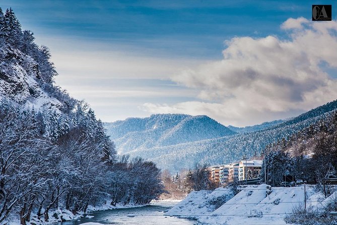 Bakuriani-Borjomi full day trip - The 11-hour rhythm, pickup, and how to use the day wisely