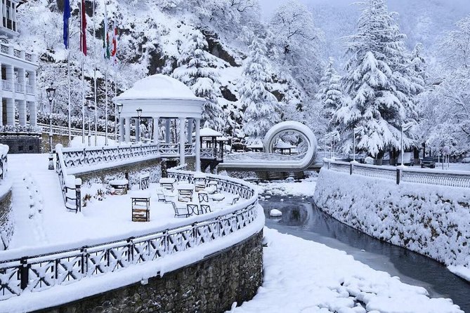 Bakuriani-Borjomi full day trip - Who this trip suits best (and who might want a different plan)
