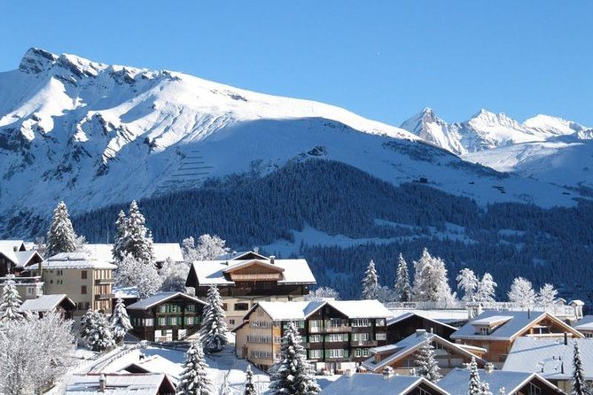 Bakuriani ski resort and the legendary Borjomi (Group Tour) - Bakuriani skiing plus Borjomi springs: why this combo works in winter
