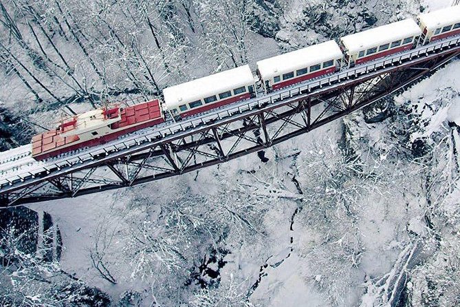 Bakuriani ski resort and the legendary Borjomi (Group Tour) - The Kukushka train ride: the scenic part you will actually remember