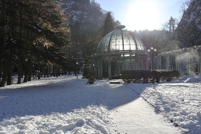 Bakuriani ski resort and the legendary Borjomi (Group Tour) - Price and value: what your $55 likely covers, and what it doesn’t