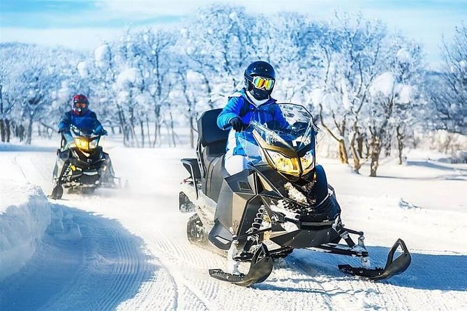 Bakuriani Ski Resort Private Day Tour from Tbilisi Snow Adventure - Winter day trips from Tbilisi need one thing: a smart plan