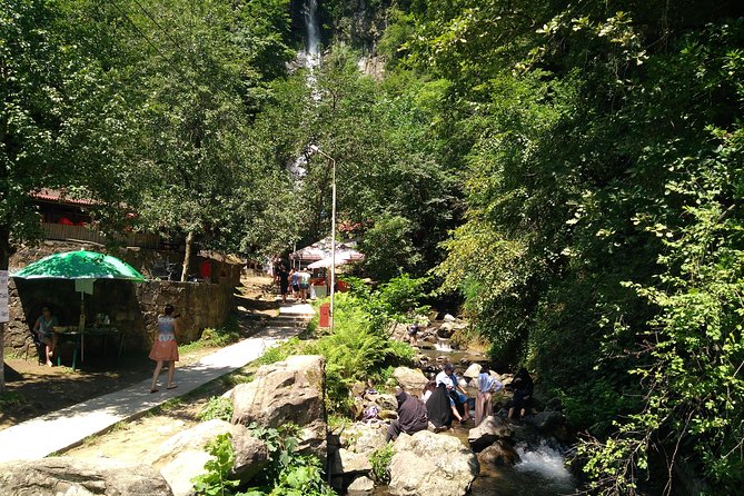 Batumi 4 Days Tour - Comfort, Guides, and the Pace You’ll Actually Like