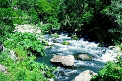 Dashbashi Canyon. The village of Asureti and Didgori monument.