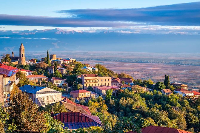 David Gareja, Kakheti and Signagi city of love One Day Tour - Included Extras That Reduce Decision Fatigue