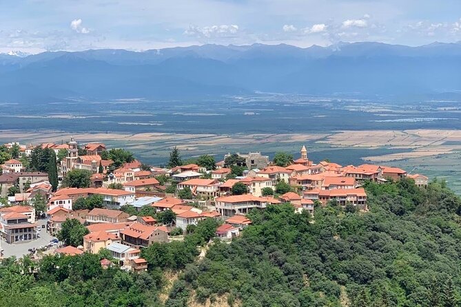 Day tour to Kakheti wine region Georgia - Signagi, City of Love, and the Walls That Tell Time