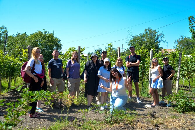 Day Trip to Kakheti Wine Region Including 9 Wine Tastings - Shoes, weather, and church rules, so the day stays fun