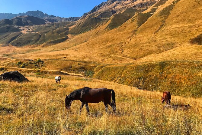 From Tbilisi: Kazbegi Ananuri Gudauri and Trusso Valley by 4x4 - Why this Kazbegi and Truso Valley day feels worth your time
