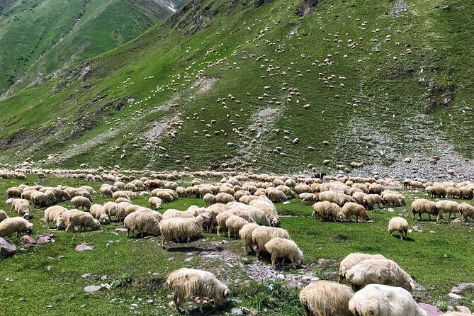 From Tbilisi: Kazbegi Ananuri Gudauri and Trusso Valley by 4x4 - Gergeti Trinity Church: getting the iconic view without extra pressure