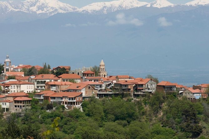 Full Day Private Wine Tour in Kakheti Region with Lunch and 3 Wine Tastings - Key points before you go