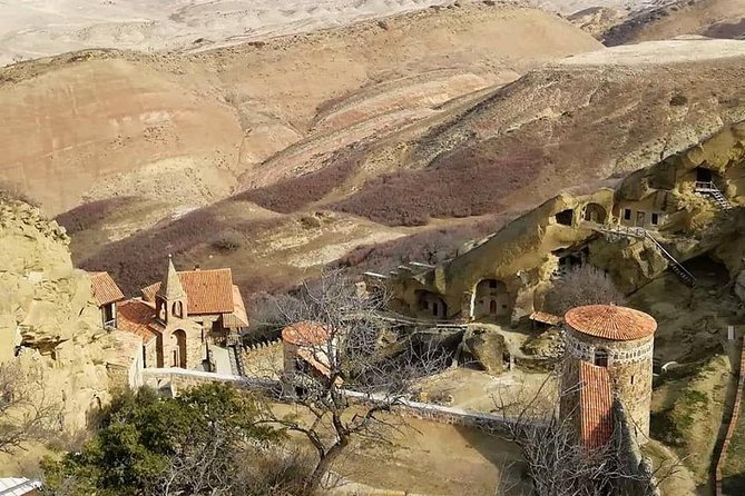 Full day tour to Kakheti: David Gareja and Signagi Town - The Wine Tasting Part: How to Make the Most of It