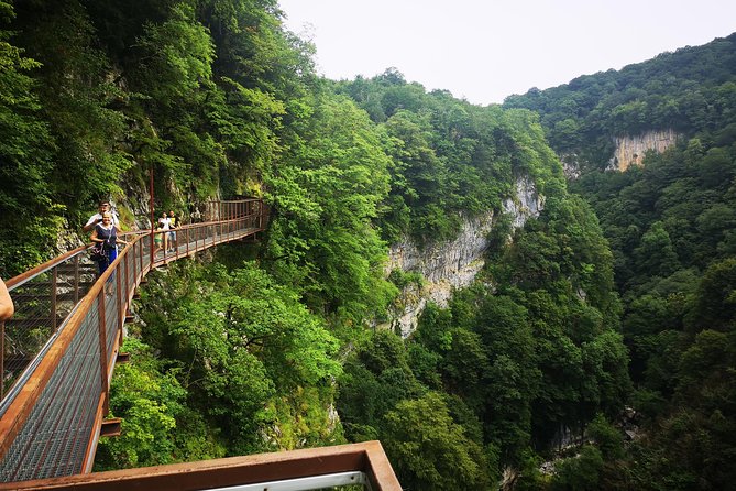 Georgia Tour Package 5 Days - Price, Value, and What $750 Buys for Up to 4