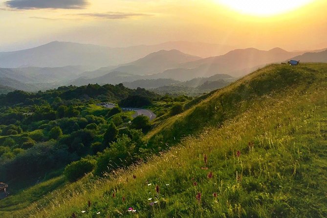 German village in Georgia (Elisabethal) & Wine tasting - What’s included, what’s not, and how to plan your day
