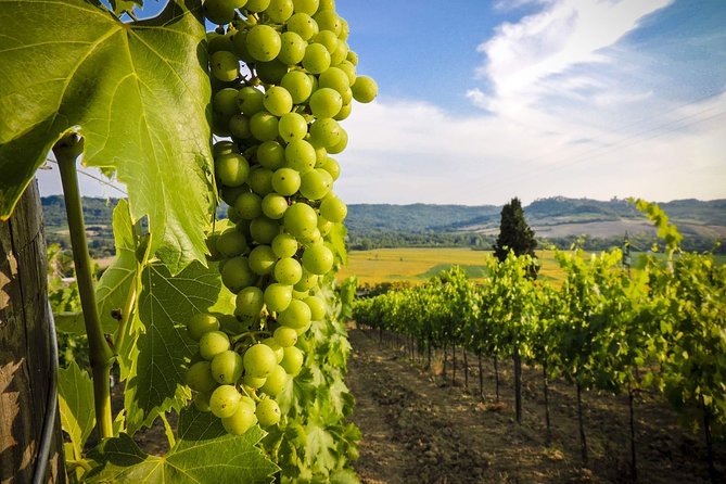Grand tour to Kakheti for wine lovers: Telavi-Kvareli-Sighnaghi - Telavi and the fortress-and-citadel combo: Batonis-Tsikhe, Gremi, and more