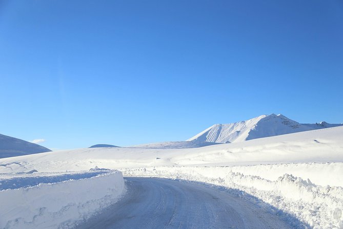 Gudauri Ski Resort day tour from Tbilisi - Who This Tour Suits Best, and Who Should Consider Another Option