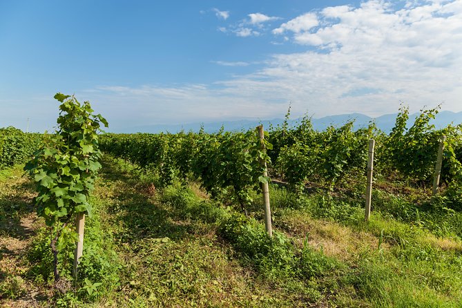 Highlights of Kakheti region-Signagi,Bodbe,Wine tasting(Private Tour) - Sighnaghi Ethnographic Park: Four Hours to Wander and Actually Look