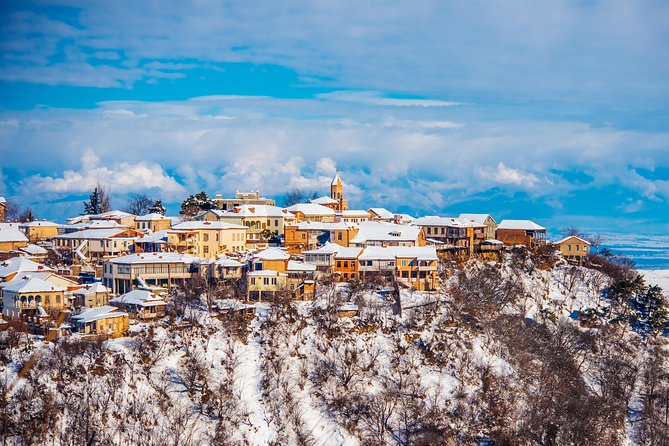Highlights of Kakheti region-Signagi,Bodbe,Wine tasting(Private Tour) - Who Should Book This Kakheti Highlights Tour