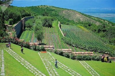 Kakheti;City of Love Sighnaghi, Bodbe. KTW. Wine House Group tour