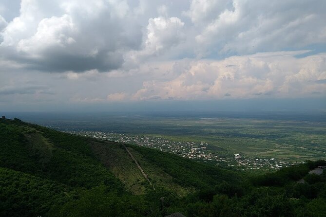 Kakheti-Sighnaghi Day Trip with wine tasting and Bodbe Monastery - Patardzeuli Wine Tasting in a Working Wine Factory (4 Wines + Chacha)