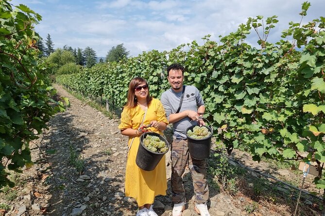 Kakheti - Small wineries and family-cooked lunch • Private tour - Badiauri village stop: clay-oven bread and cheese that resets your palate