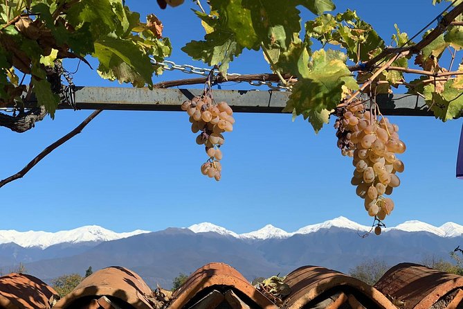 ️ Kakheti tour - Private Full Day Wine tour with Lunch and Wine tasting - Sighnaghi and Okro’s Wines: Natural Wine Tasting With Chacha