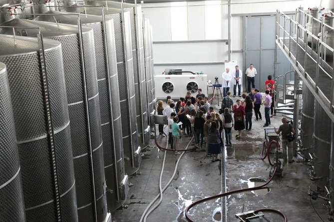 Kakheti Wine & Sighnaghi Private Tour from Tbilisi - Your Private Car, Your Guide, and the Road Reality