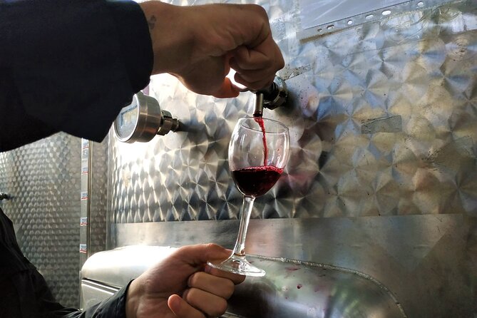 Kakheti Wine Tour with 20+ Wine Tastings & Qvevri Masterclass - Khareba’s Tunnel Winery: The 7 km Aging Experience
