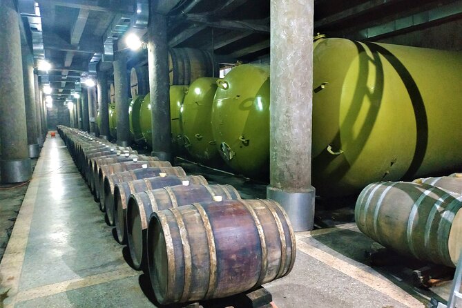 Kakheti Wine Tour with 20+ Wine Tastings & Qvevri Masterclass - Making Sense of 20+ Tastings Without Burning Out