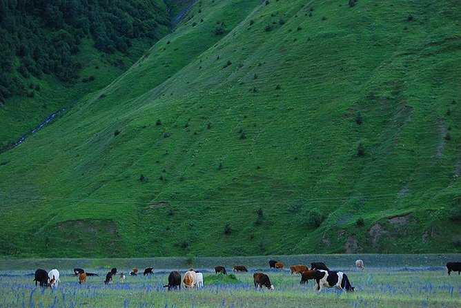 Kazbegi Adventure - Private Day Trip From Tbilisi with a Dinner + Masterclass - Gudauri Panorama and the Friendship Monument: Soviet roadside art with a big-sky payoff