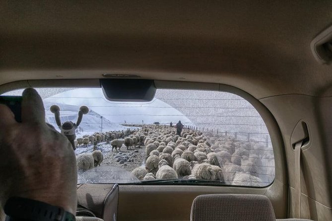 Kazbegi Adventure - Private Day Trip From Tbilisi with a Dinner + Masterclass - Price and value: What you’re really paying for at $175.03