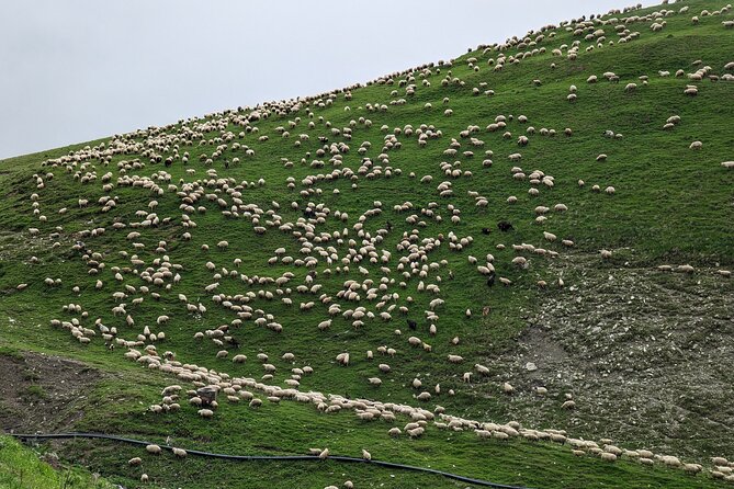 Kazbegi & Gudauri Private Full-Day Tour From Tbilisi - What you really get for $100 per person