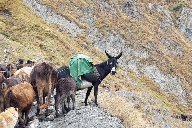 Kazbegi MOUNTAIN Tour (GLORY OF THE NATURE) + MANY NEW LOCATIONS - Kvemo Mleta Spring Water: A Small Stop That Breaks the Driving Rhythm