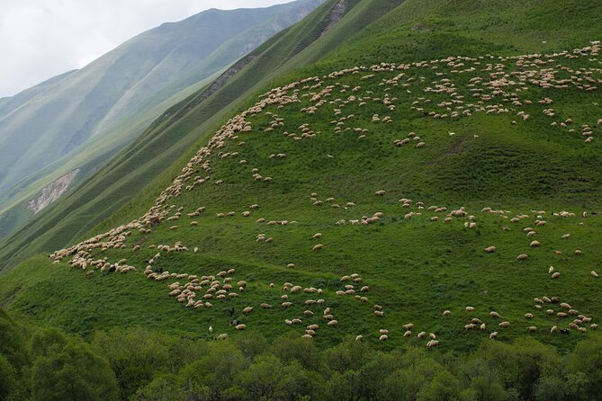 Kazbegi - One Day Private Trekking Tour to Truso Valley - Stop 3: Ketrisi picnic by a natural pool, and the long-day reality