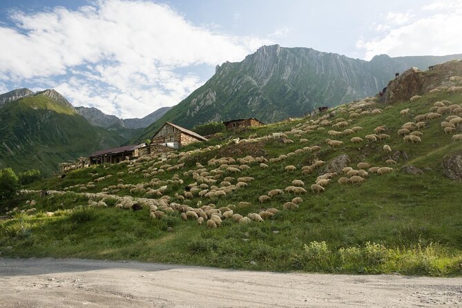 Kazbegi - One Day Private Trekking Tour to Truso Valley - What to bring for a day that can swing from sun to snow