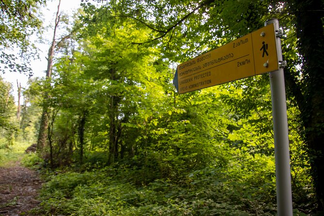Lagodekhi - A day hiking from Tbilisi - The 8:00 am start: getting from your hotel to the Gurgeniani Visitor Center
