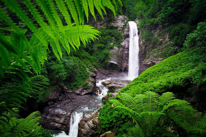 Lagodekhi - A day hiking from Tbilisi - Timing: how long this day hike really takes