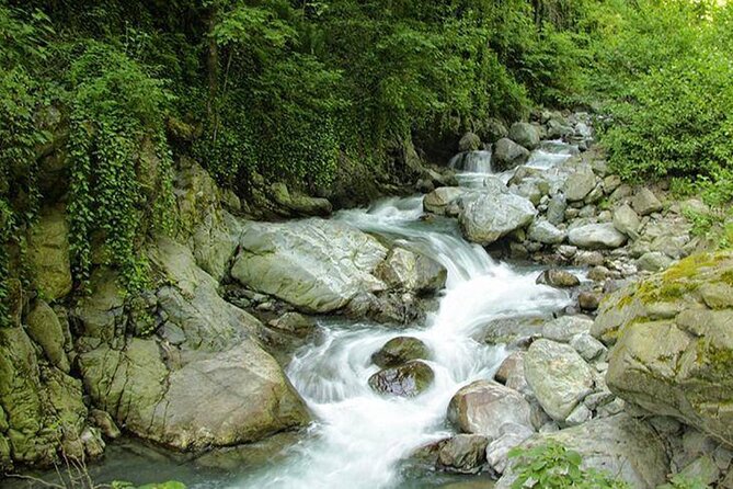 Lagodekhi - A day hiking from Tbilisi - Price and value: what $95 covers and when it feels best