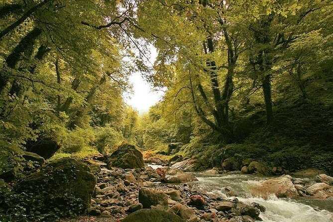 Lagodekhi - A day hiking from Tbilisi - Ninoskhevi River trail: shade, small falls, and what moderate really means