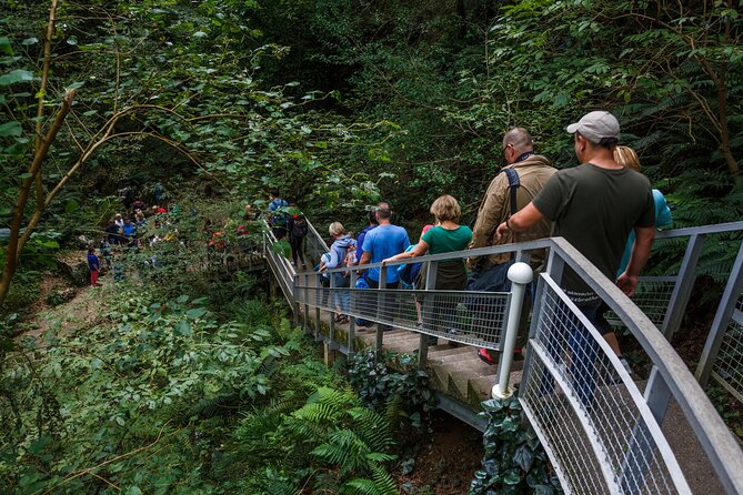 Martvili canyon & Prometheus Cave group tour from Tbilisi - Underground boating at Prometheus Cave: worth planning for